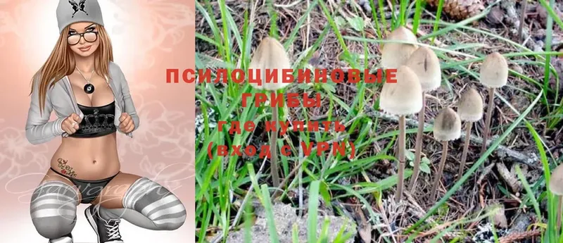 Псилоцибиновые грибы MAGIC MUSHROOMS  Нижние Серги 